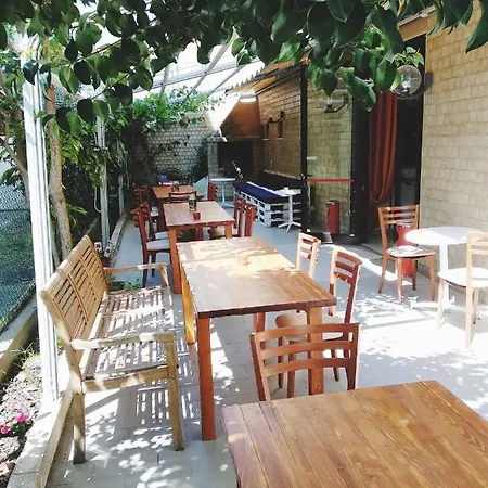 酒店 珍尼斯酒店 里米尼