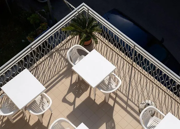 Zenith Rimini