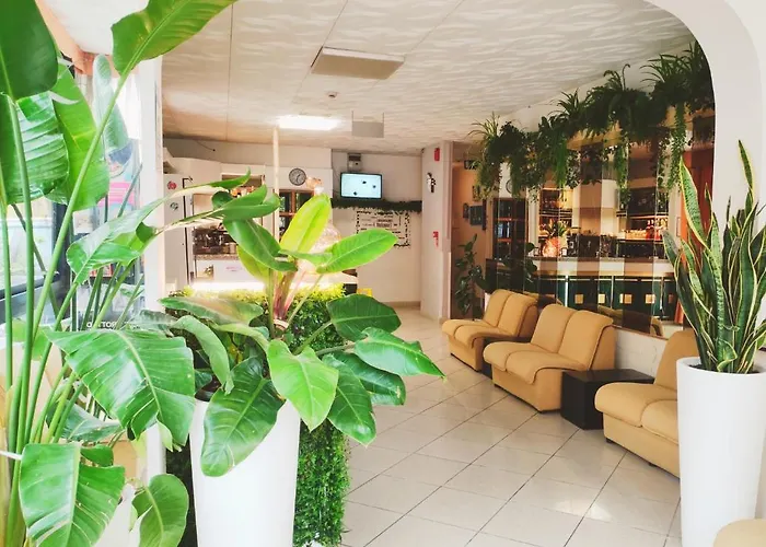 Hotel Zenith