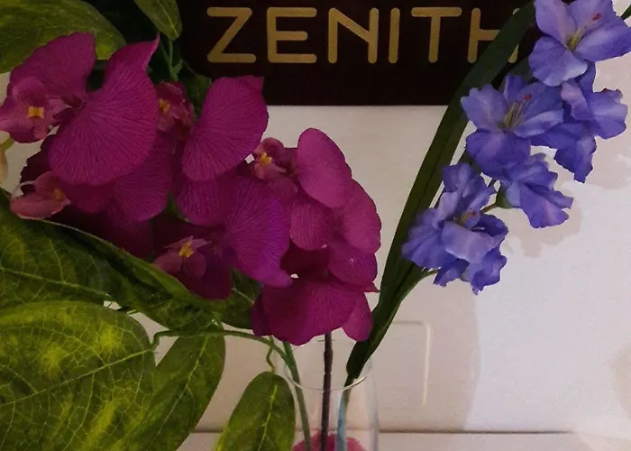 Zenith 3*
